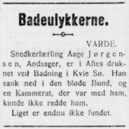 Artikel i HORSENS AVIS