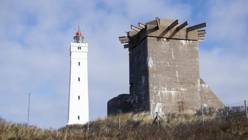 Bøffelstillingen ved Blåvand